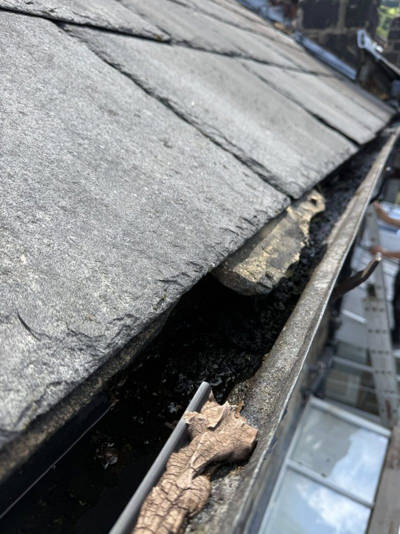 Gutter-Replacement-Experts-in-Otley.jpg