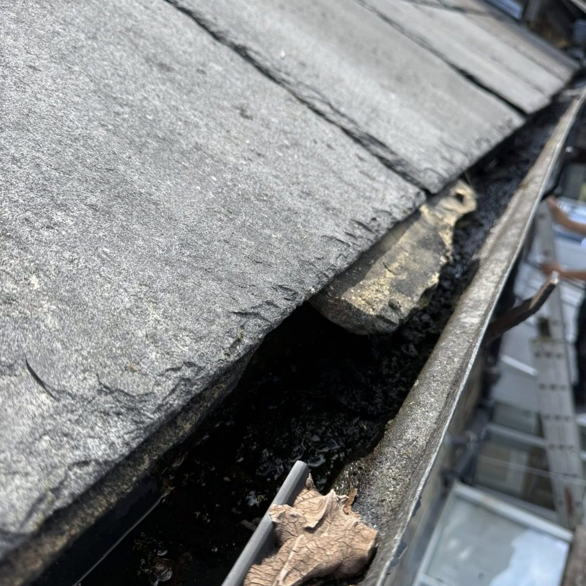 Gutter-Replacement-Experts-in-Otley.jpg